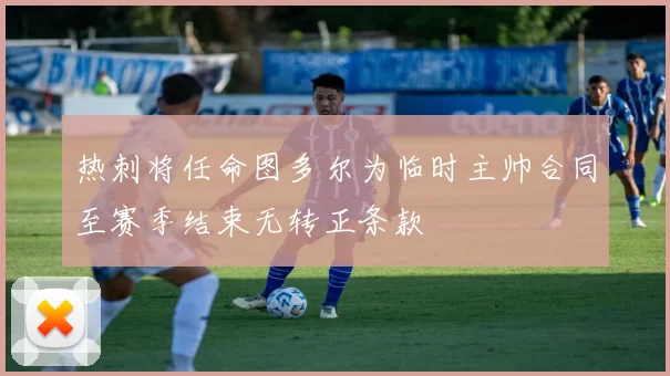 热刺将任命图多尔为临时主帅合同至赛季结束无转正条款